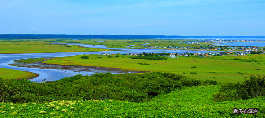霧多布濕原花之濕原北海道遺產